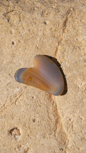 Glow and GUA SHA Ritual: Your choice of cream or balm
