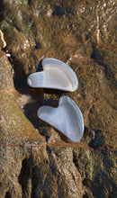 Load image into Gallery viewer, Glow and GUA SHA Ritual: Your choice of cream or balm
